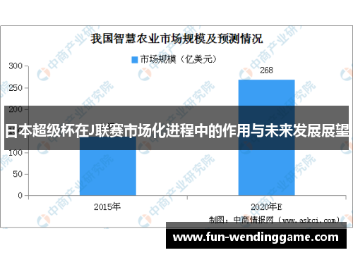 日本超级杯在J联赛市场化进程中的作用与未来发展展望