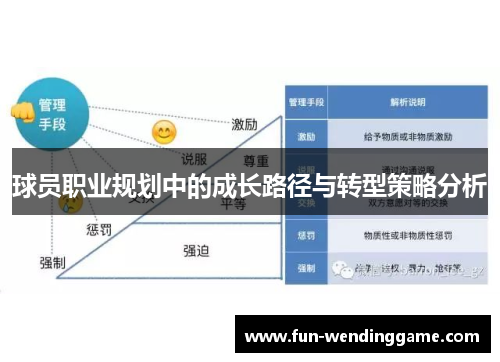 球员职业规划中的成长路径与转型策略分析