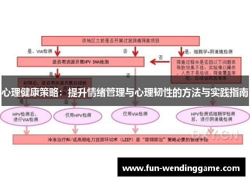 心理健康策略：提升情绪管理与心理韧性的方法与实践指南