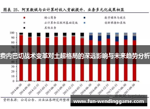 费内巴切战术变革对土超格局的深远影响与未来趋势分析