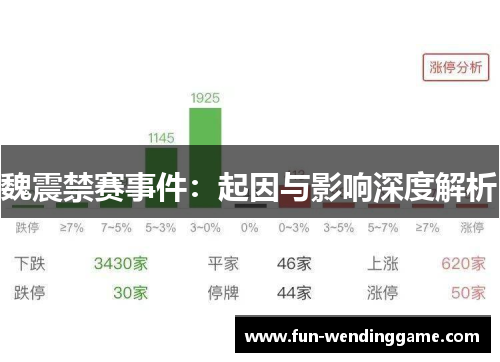 魏震禁赛事件：起因与影响深度解析