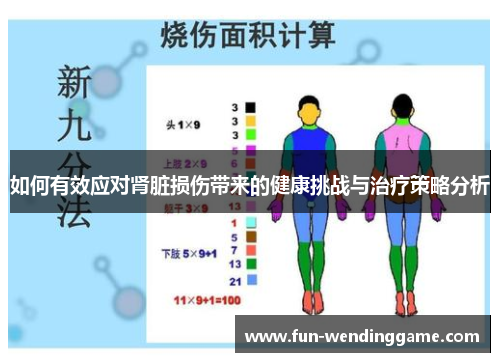 如何有效应对肾脏损伤带来的健康挑战与治疗策略分析