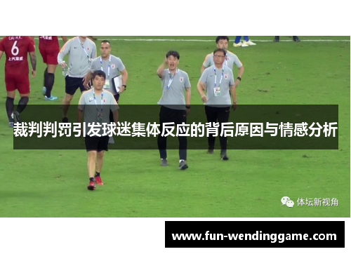 裁判判罚引发球迷集体反应的背后原因与情感分析