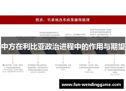 中方在利比亚政治进程中的作用与期望