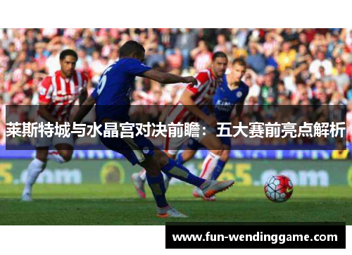 莱斯特城与水晶宫对决前瞻：五大赛前亮点解析