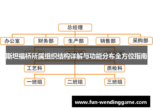斯坦福桥所属组织结构详解与功能分布全方位指南