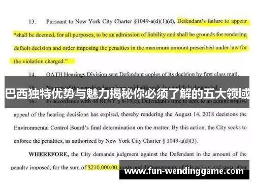 巴西独特优势与魅力揭秘你必须了解的五大领域
