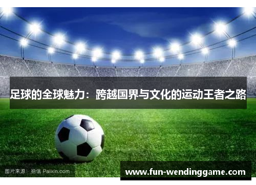 足球的全球魅力：跨越国界与文化的运动王者之路