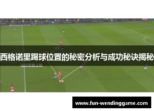 西格诺里踢球位置的秘密分析与成功秘诀揭秘